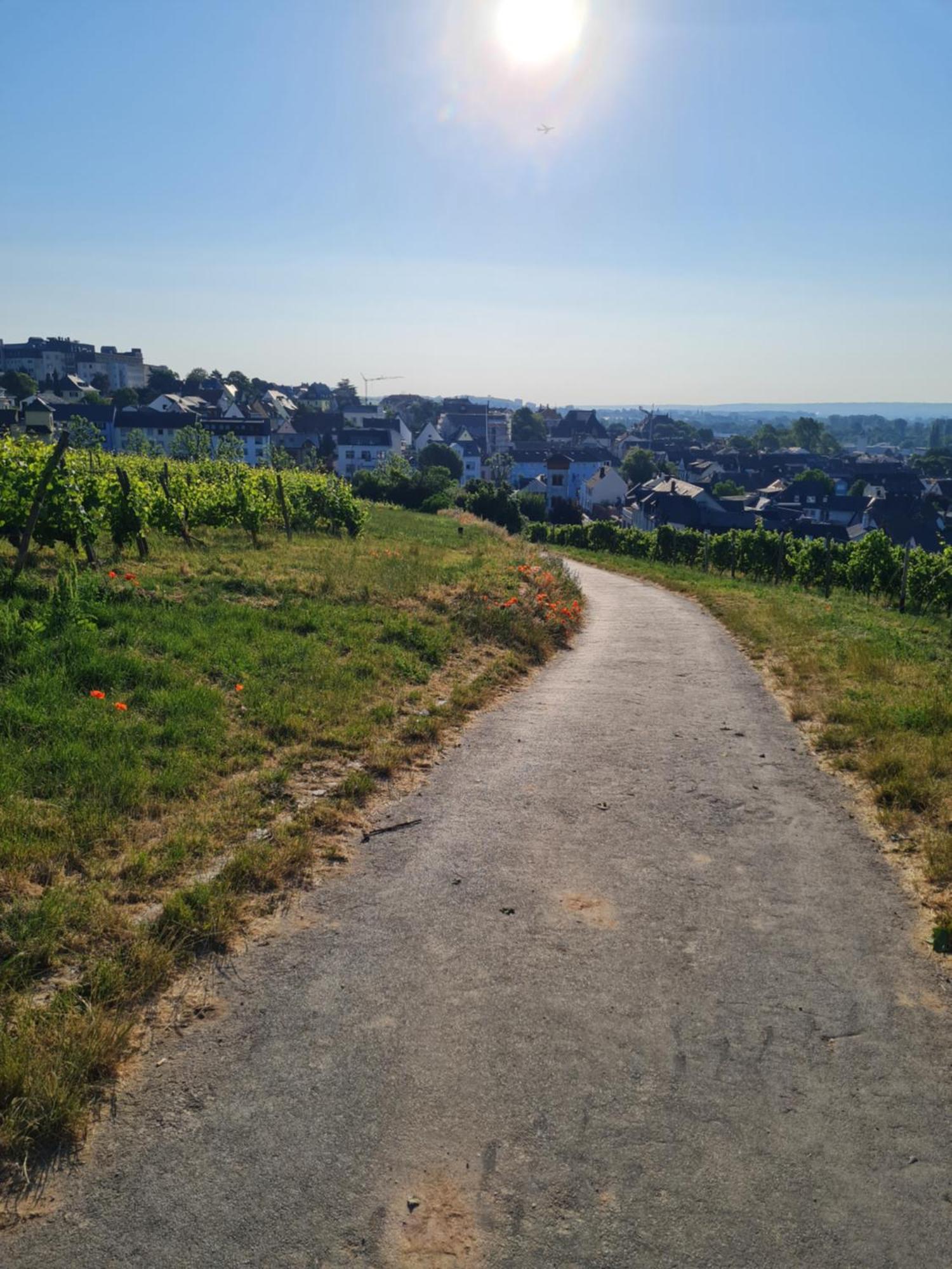 Ferienwohnungen Am Markt Ruedesheim am Rhein Ngoại thất bức ảnh