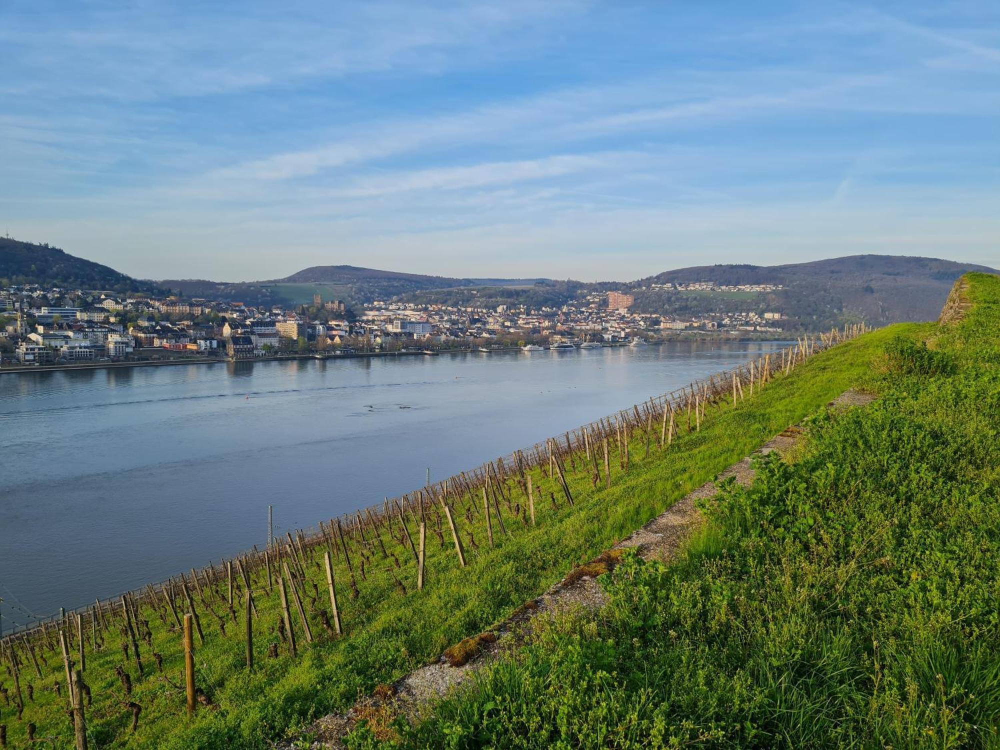 Ferienwohnungen Am Markt Ruedesheim am Rhein Ngoại thất bức ảnh